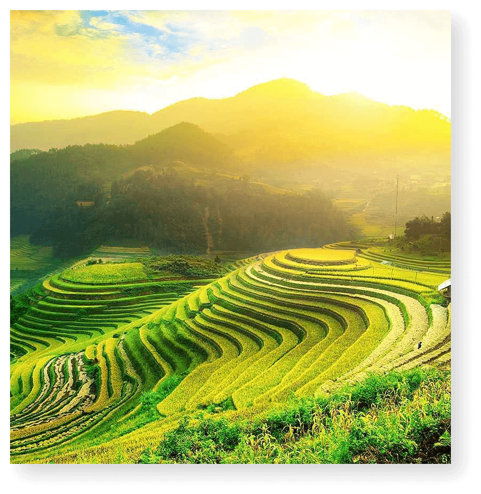 lapassionhanoi