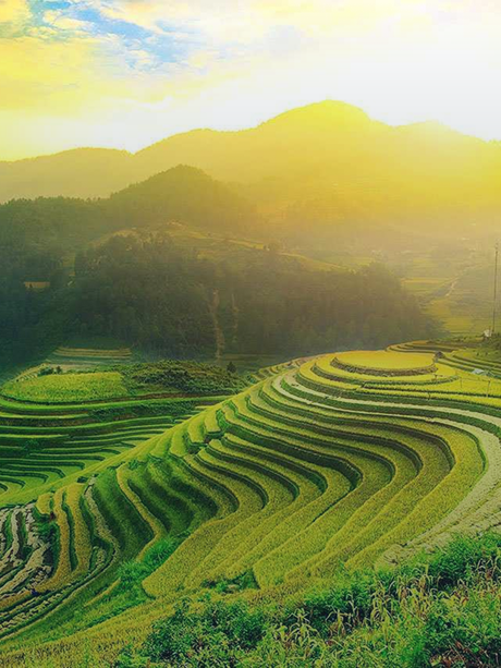 lapassionhanoi
