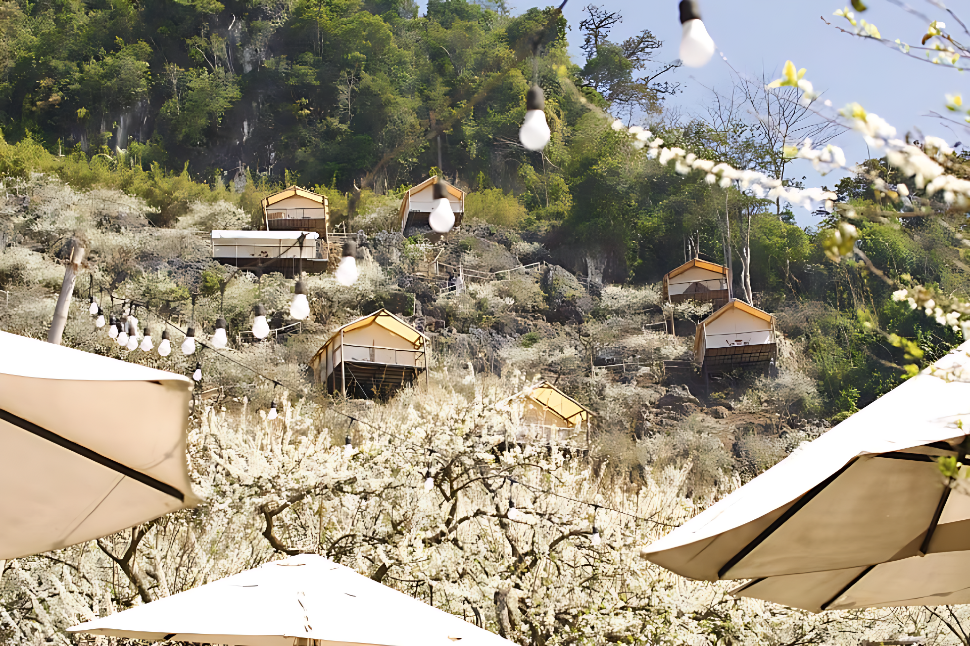 Lều Mây Glamping & Retreat